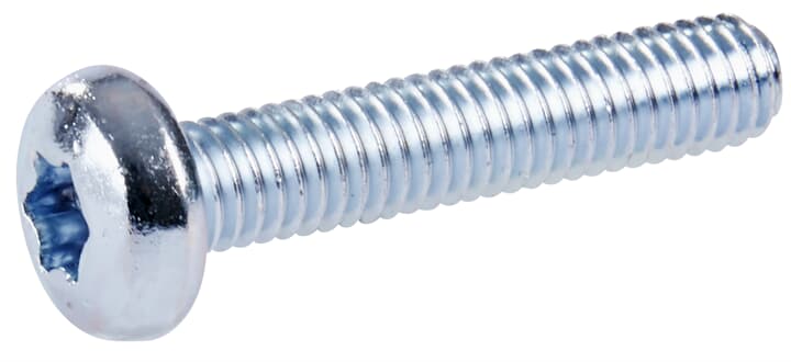 Flachkopf-Schrauben M6x20 T30, Zubehör CombiLine Innenausbausystem