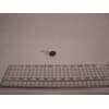 Product Thumbnail urls