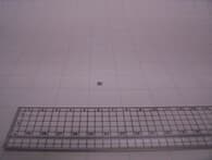014460-014 - image 0