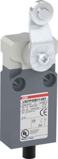 Interrupteur de position boîtier en plastique gris IP67 levier tournant en acier zingué