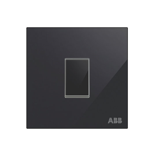 AM10120-BG | ABB AM10120-BG | ABB 