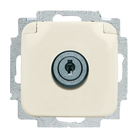 SCHUKO® Steckdosen-Einsatz mit Klappdeckel , Zylinderschloss/abschließbar,