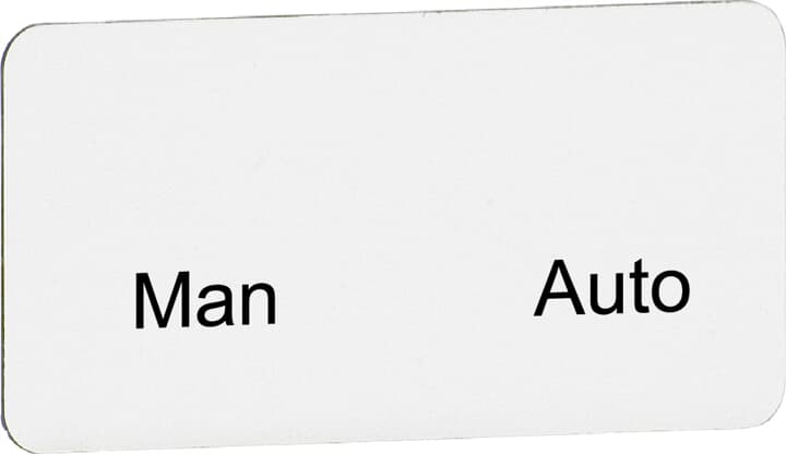 Insert texte "Homme" / "Auto", pour interrupteur à 3 positions 1SFA611930R1085