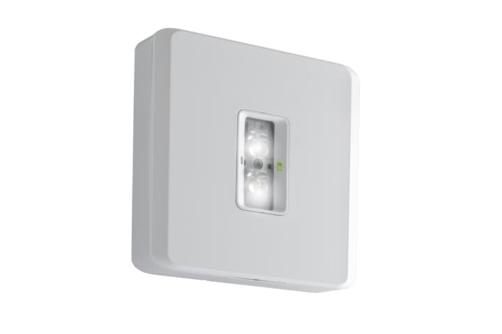 EL2200W-M3/DALI S, Serenga 2 Applique Murale S, 3h, DALI