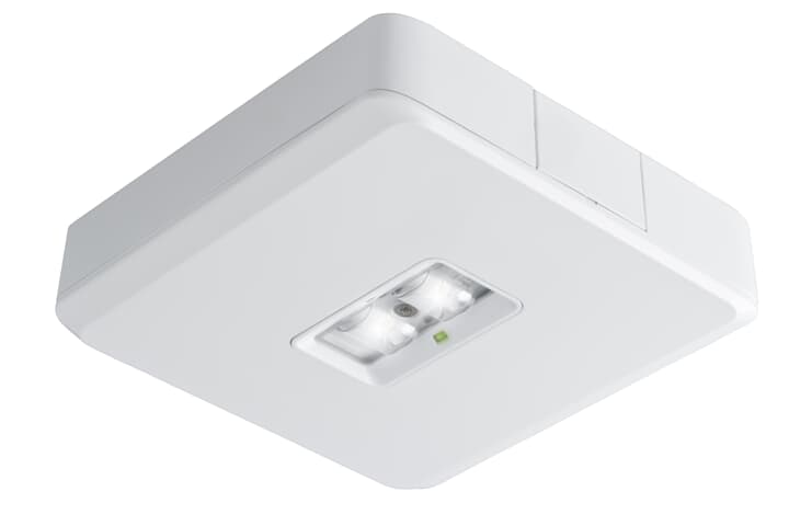 EL2200S-M3/COM HE, Serenga 2 Aufbau Leuchte