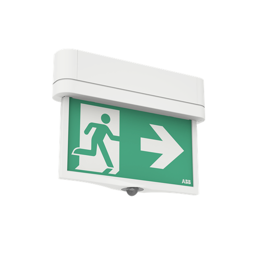 Luminaires de secours