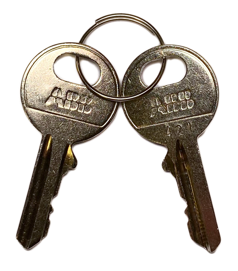 Clé de remplacement avec code de clé 421 en plastique, série, 1 set = 2 pièces 1SFA611920R8166
