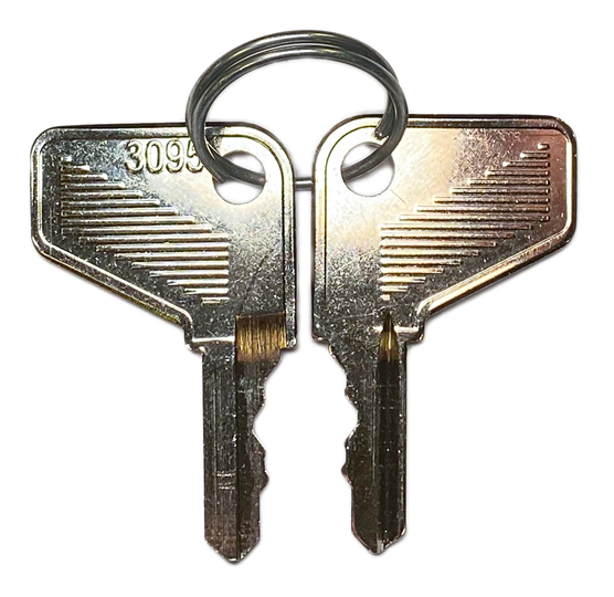 Clé de remplacement avec code clé 95, métal, série, 1 ensemble = 2 pièces