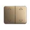 bronze