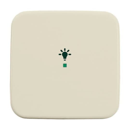 Wippe 1-fach, mit Symbol "Licht"