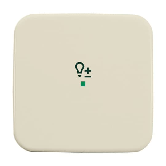 Wippe 1-fach, mit Symbol "Dimmer"