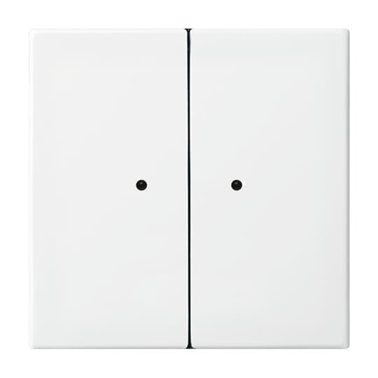 Wandsender WaveLINE 2 KanalBusch-balance® SI