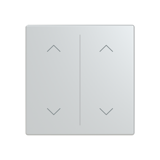 Abdeckung als Wippe 2-fach, mit Symbol "Auf/Ab", Format 63 - solo/future