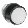 Product Thumbnail urls