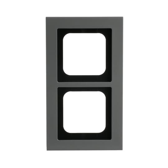 Abdeckrahmen 2-fach platin - Busch-axcent® pur