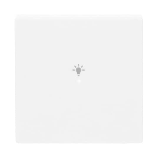 Wippe 1-fach, mit Symbol "Licht"