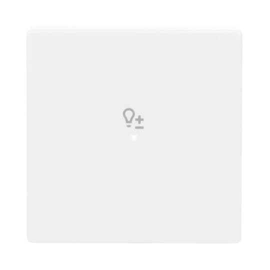 Wippe 1-fach, mit Symbol "Dimmer"