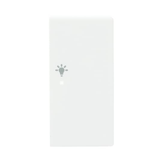 Wippe 2-fach rechts, mit Symbol "Licht"