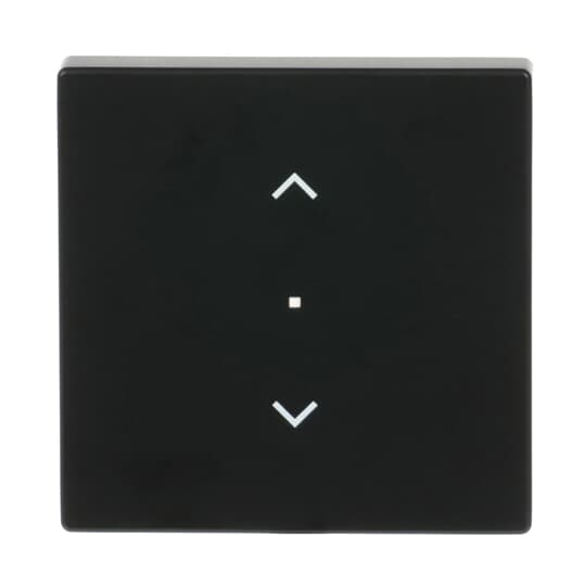 Wippe 1-fach, mit Symbol "Jalousie"