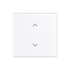 studio white