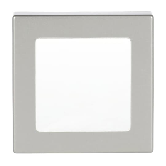 Zentralscheibe Busch-Infolicht® edelstahl - pur edelstahl