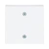 studio white