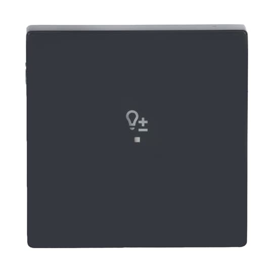 Wippe 1-fach, mit Symbol "Dimmer"