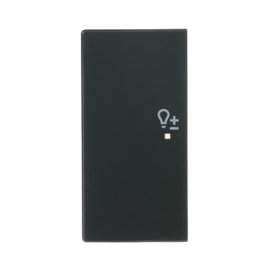 Wippe 2-fach links, mit Symbol "Dimmer"
