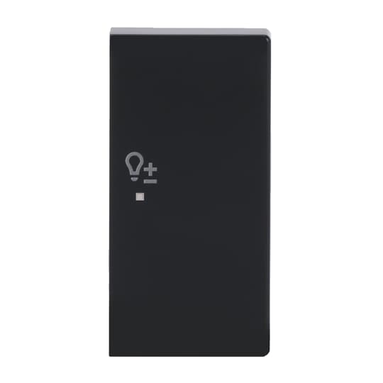 Wippe 2-fach rechts, mit Symbol "Dimmer"