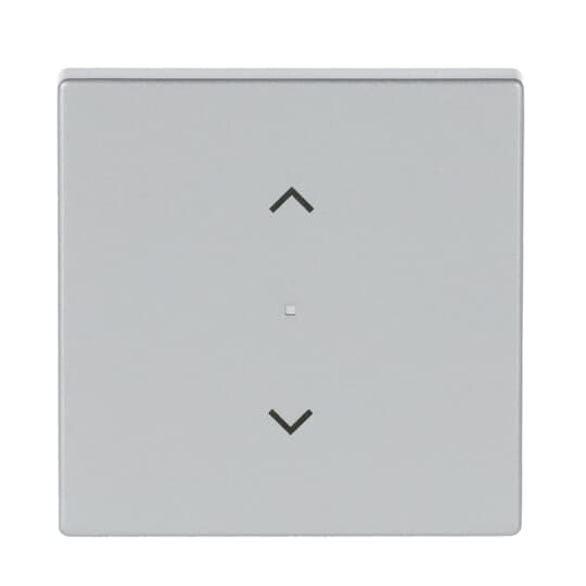 Wippe 1-fach, mit Symbol "Jalousie"