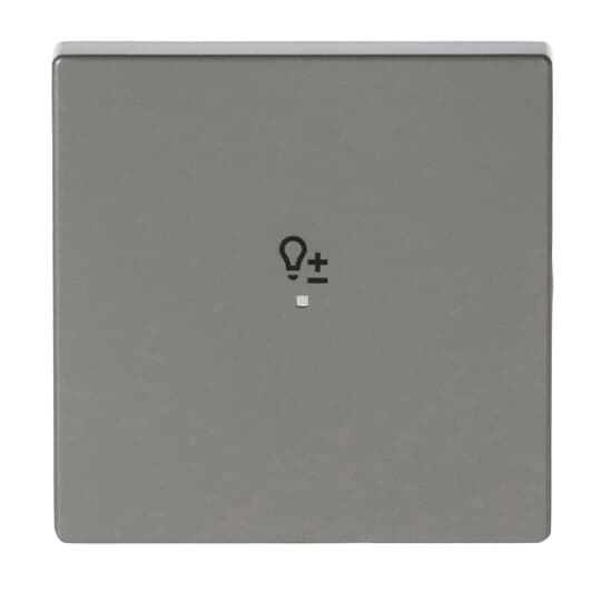 Wippe 1-fach, mit Symbol "Dimmer"