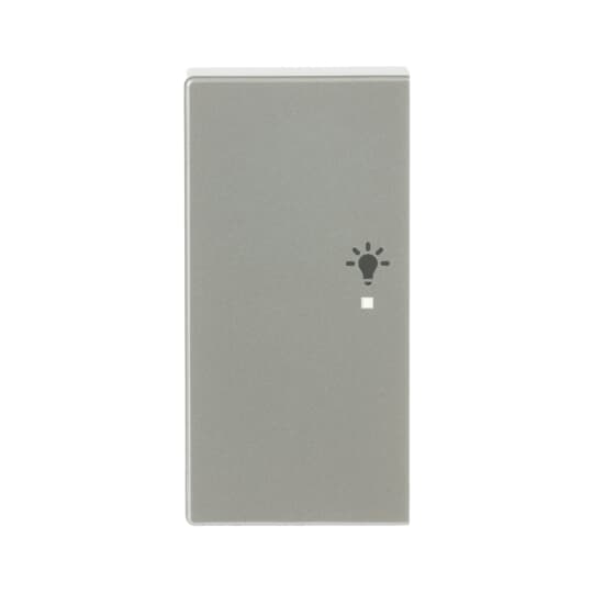 Wippe 2-fach links, mit Symbol "Licht"