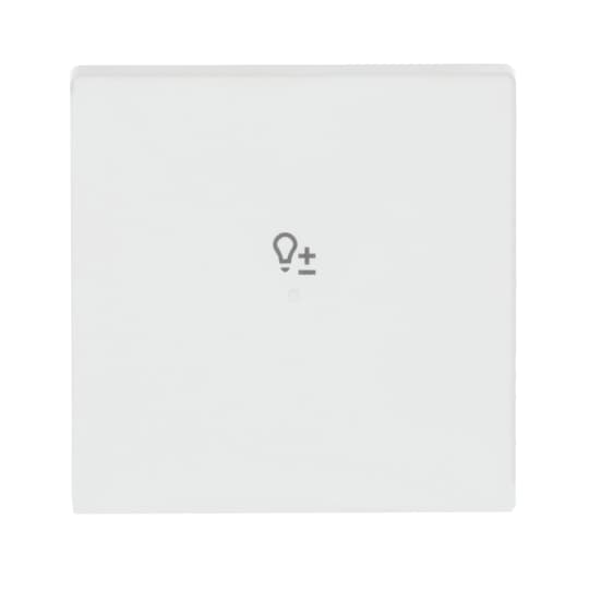 Wippe 1-fach, mit Symbol "Dimmer"