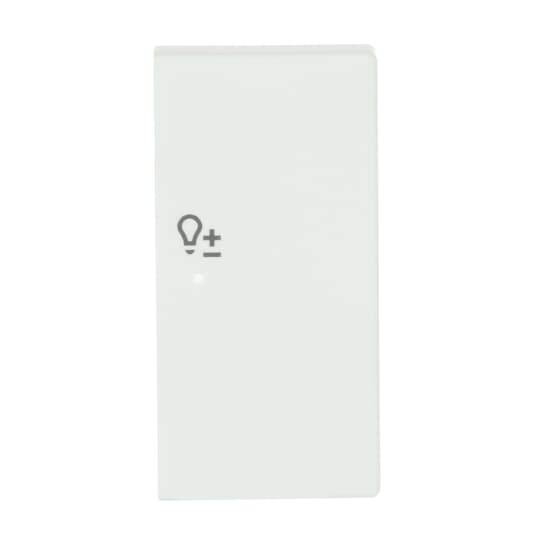 Wippe 2-fach rechts, mit Symbol "Dimmer"