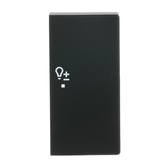 Wippe 2-fach rechts, mit Symbol "Dimmer"
