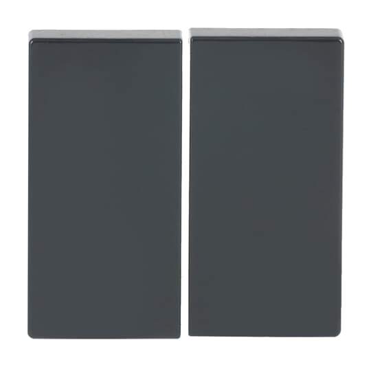 Wippe für Smart Switch 2-fach anthrazit - Plattform 63