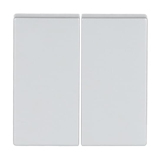 Wippe für Smart Switch 2-fach alusilber - Plattform 63