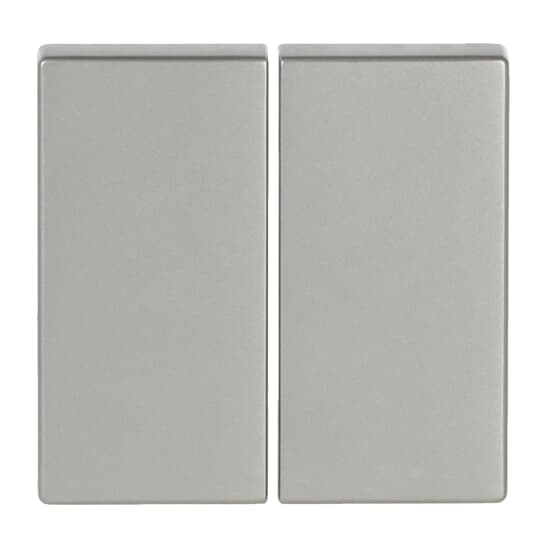 Wippe für Smart Switch 2-fach edelstahl - pur edelstahl