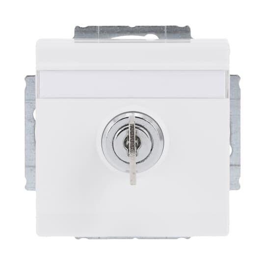 SCHUKO® Steckdosen-Einsatz Safety+ mit Klappdeckel ,