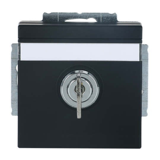 SCHUKO® Steckdosen-Einsatz Safety+ mit Klappdeckel ,