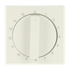 ivory white