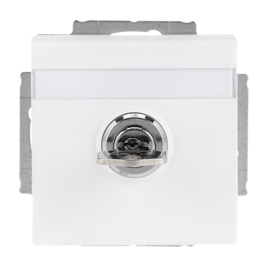 SCHUKO® Steckdosen-Einsatz Safety+ mit Klappdeckel ,