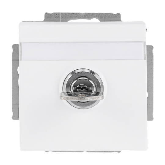 SCHUKO® Steckdosen-Einsatz Safety+ mit Klappdeckel ,