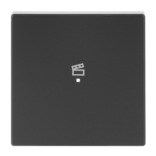 Wippe 1-fach, mit Symbol "Szene"