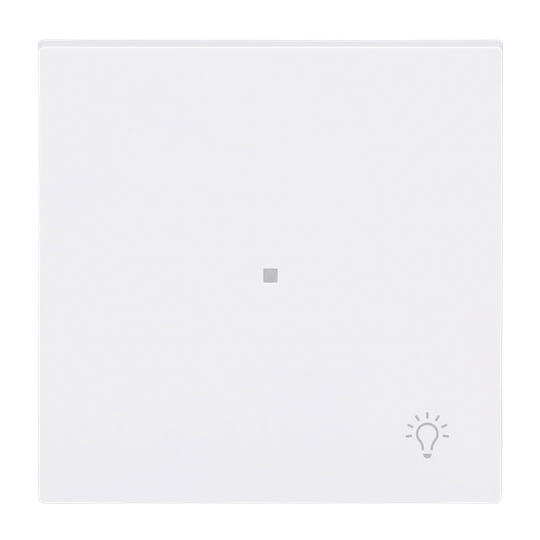 Wippe mit Aufdruck Symbol "Licht" mit kleiner transparenter Kalotte 1-fach