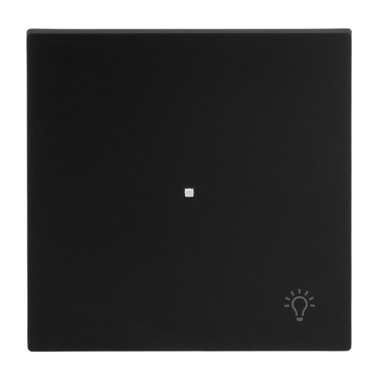 Wippe mit Aufdruck Symbol "Licht" mit kleiner transparenter Kalotte 1-fach