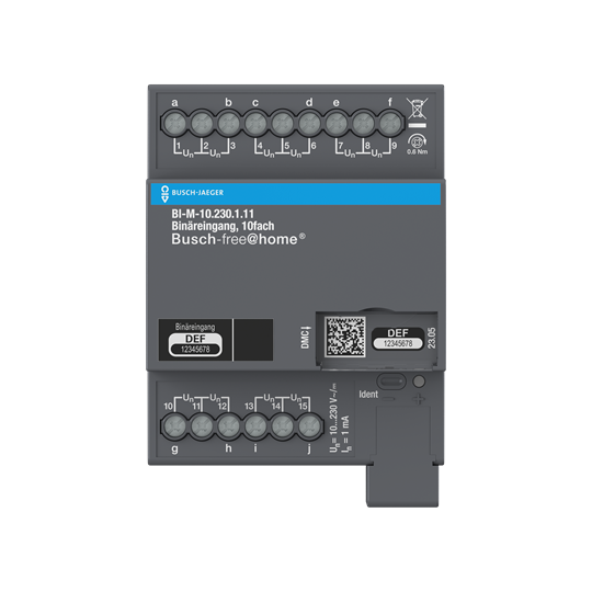 Binäreingang, 10-fach, 10-230 V, REG