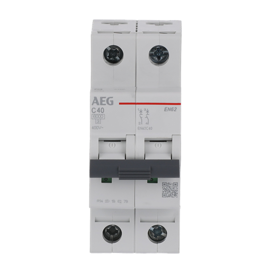 Disjoncteur AEG ElfaPlus 6 kA, caractère C, 40 A, 2P