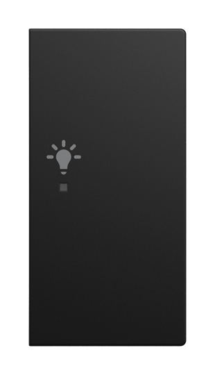Wippe 2-fach rechts, mit Symbol "Licht" Busch-balance® SI