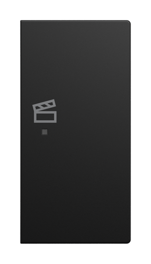Wippe 2-fach rechts, mit Symbol "Szene" Busch-balance® SI